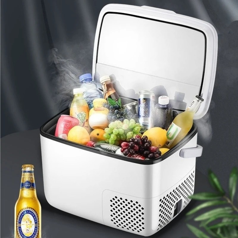 220V /12V /24V 차량용 냉장고 휴대용 냉동고 - Outdoor Furniture Zone 리뷰 및 가격